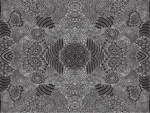 Fabric M&S Textiles Aboriginal Designs - Water Hole in Black by Anna Pitjara