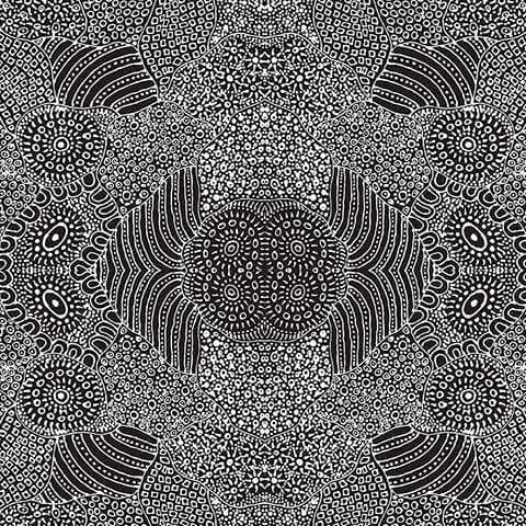 Fabric M&S Textiles Aboriginal Designs - Water Hole in Black by Anna Pitjara